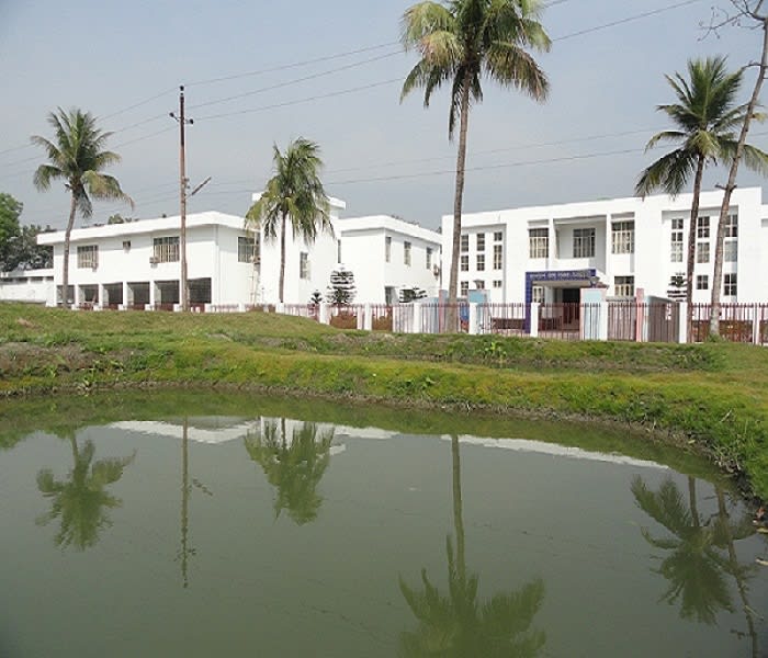 MFS - BFRI Office.jpg
